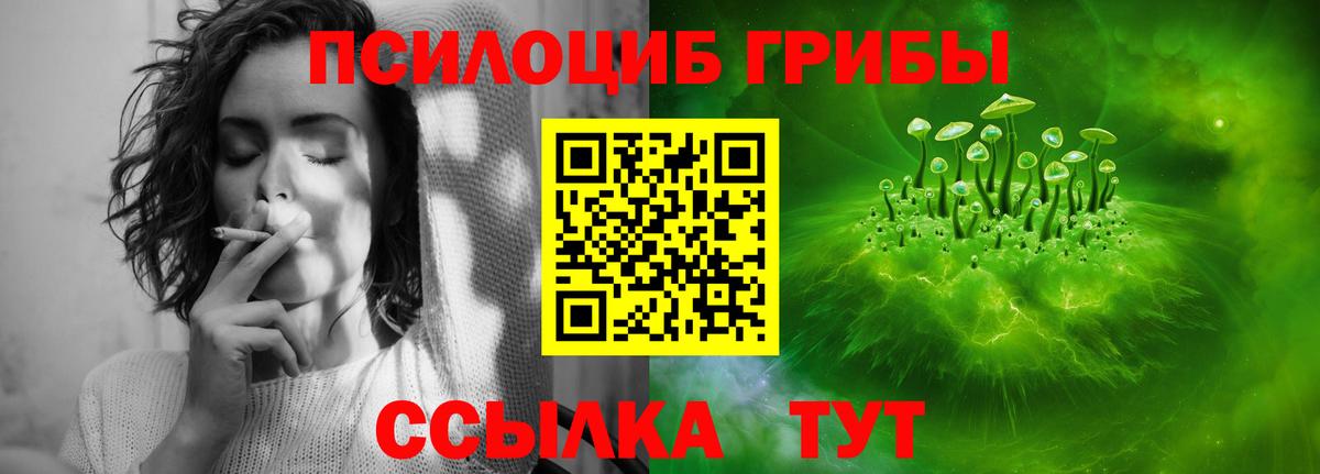 Сосновый Бор  Галлюциногенные грибы мицелий  Вход с VPN 