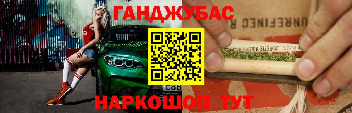 Канабис сатива Сосновый Бор